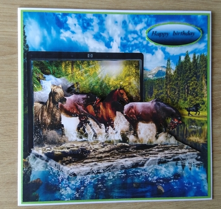 horses cooling off by Honorscard Appleby