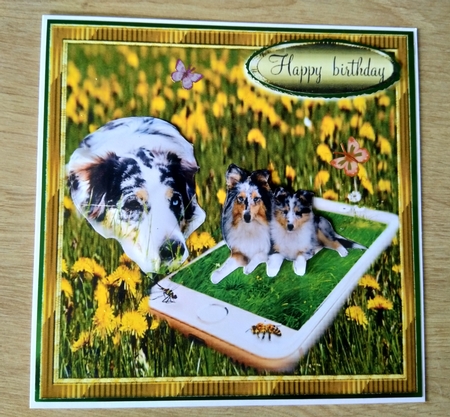 online buddies by Honorscard Appleby