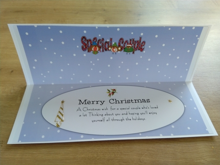 More Christmas Robins SPECIAL COUPLE large dl 2 insert by Honorscard Appleby