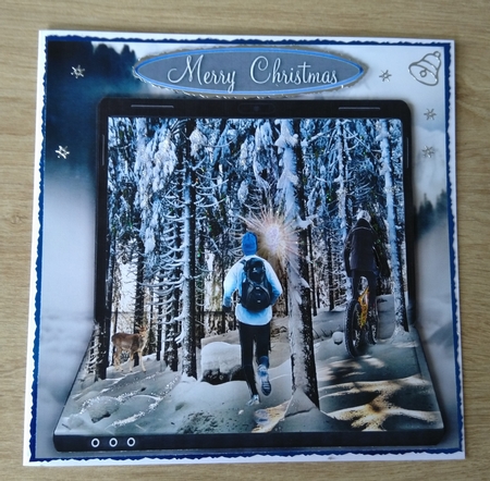 winter woods by Honorscard Appleby