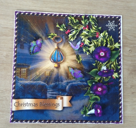 Christmas Flower of Light - Glories by Honorscard Appleby