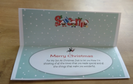 Crazy Christmas Puddings with presents SON large dl 3 insert by Honorscard Appleby