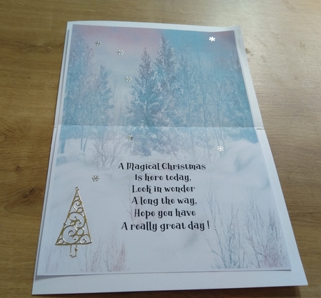 Magical Christmas insert by Honorscard Appleby