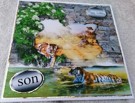 breakout tigers by Honorscard Appleby