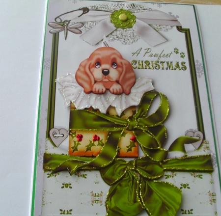 Little Puppy in Christmas Box in Lace Frame by Honorscard Appleby