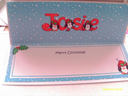Xmas Josie Penguins Matching Large Dl Insert by Honorscard Appleby