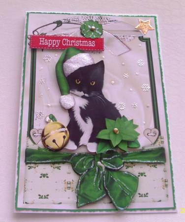 Cute Kitty in Green Santa Hat in Lace Frame by Honorscard Appleby