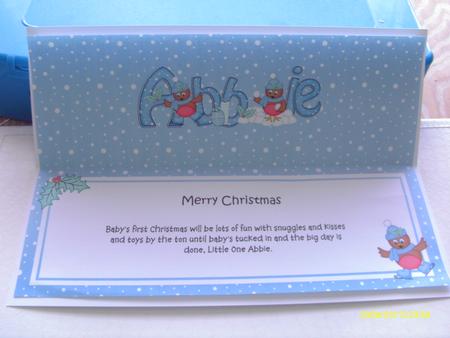 Large Dl Xmas Abbie Robins Matching Insert by Honorscard Appleby