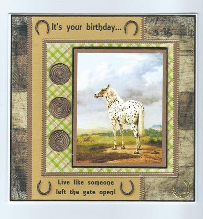 Horse Male Birthday Mini Kit - Someone Left the Gate Open by Honorscard Appleby