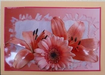 Lilies and Daisy by Ine Moren