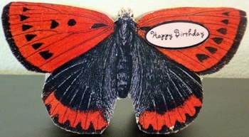 Butterfly Stand Up Card 14 by Ine Moren
