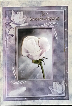 Sympathy Rose by Ine Moren