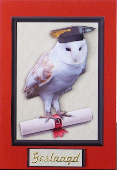 Barn Owl Congratulations 3D Decoupage by Ine Moren