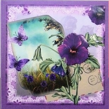 The Letter Field of Pansies by Ine Moren