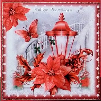 Beautiful Red Poinsettia Lantern by Ine Moren