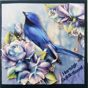 Fabulous Flycatcher & Blue Roses by Ine Moren