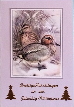 Christmas in the Reeds by Ine Moren