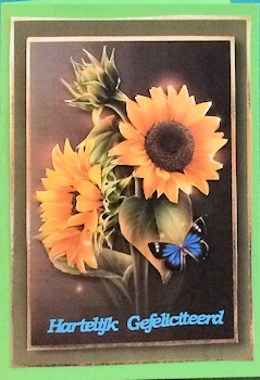 Sunflowers by Ine Moren