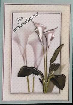Sympathy Callas Mini Kit by Ine Moren