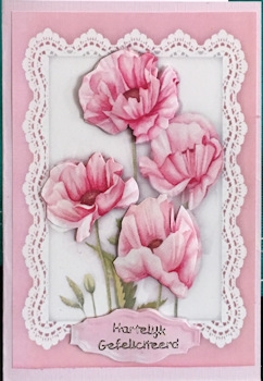Pink Poppys on Lace  by Ine Moren