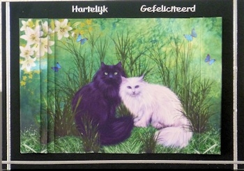 Black & White Long Haired Cats A5 Side Stacker Card Front by Ine Moren