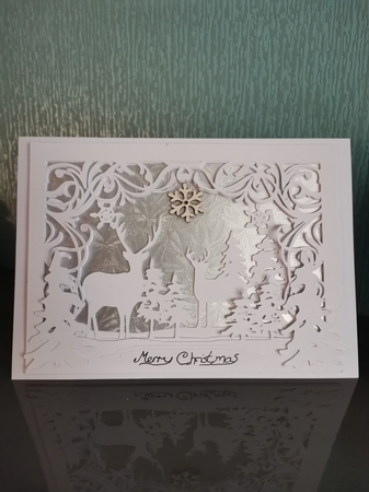 Winter woodland scene by Irene  Bond 