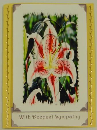Inverted Stargazer Lily Design Sheet Simple But Elegant by Irene Drieman