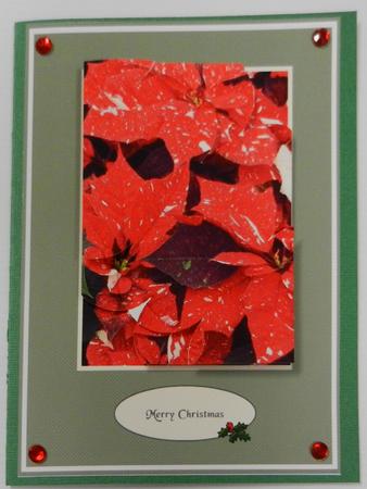 Scalloped Corner Poinsettia Stacker Card Design Sheet by Irene Drieman