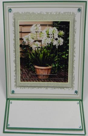 All Occasions Agapanthus Stacker Card Front Design Sheet by Irene Drieman