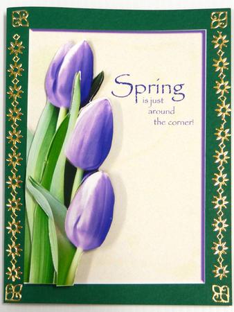 Tulips for Spring - Purple by Irene Drieman