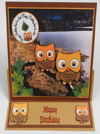 Hope Its a Hoot by Irene Drieman