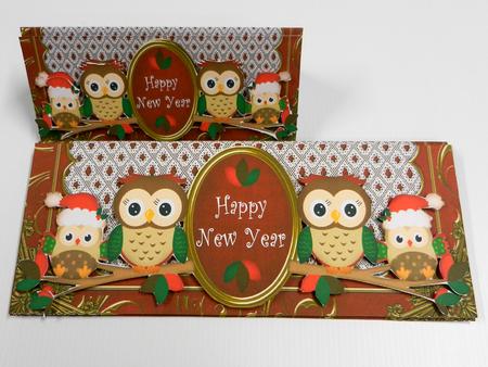 Red Christmas Owls Happy New Year Large Dl Card Kit by Irene Drieman