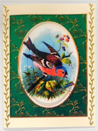 Colourful Chaffinch with a Golden Frame by Irene Drieman