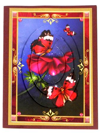 Gorgeous Pink Butterflies & Anemone by Irene Drieman