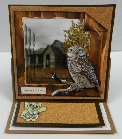 Country Scene Owl Topper & Decoupage by Irene Drieman