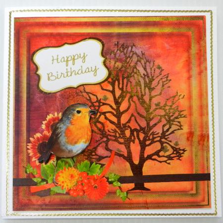 Robin by Irene Drieman