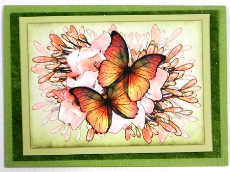 A4 Butterflies N Flowers Card Topper by Irene Drieman