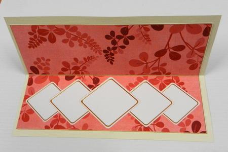 Dred Oriental Fern Diamond Ex Large Dl Folded Insert by Irene Drieman