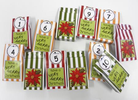 3D Poinsettia Xmas Hanging Advent Calendar Box Kit by Irene Drieman