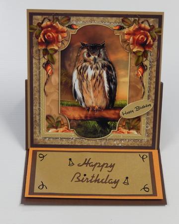 Night Owl in Moonlight by Irene Drieman