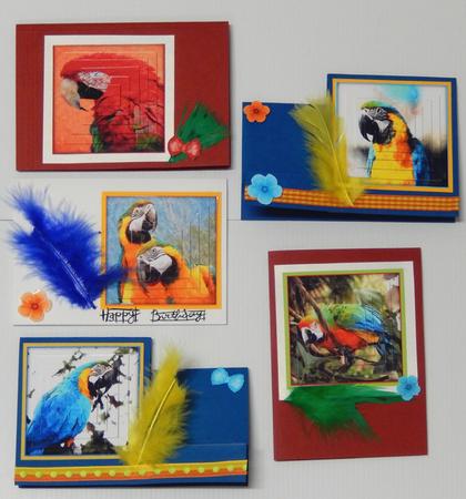 Magical Macaw Parrots Watercolour Bumper Kit by Irene Drieman