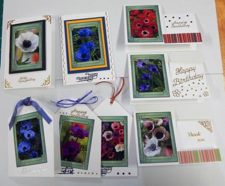 Flower Series: Anemones by Irene Drieman