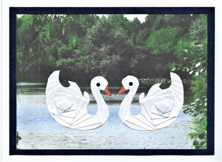 Two White Swans by Irene Jardine