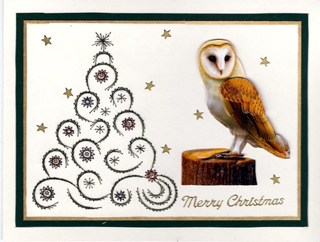 Barn Owl Card Front by Irene Jardine