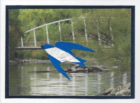 Swallow Iris Folding  by Irene Jardine