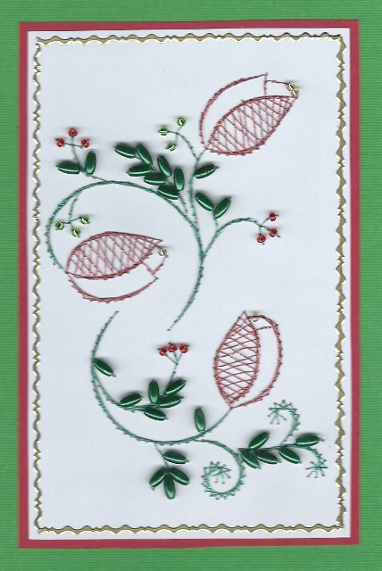 Ed066 Tulips by Irene Jardine