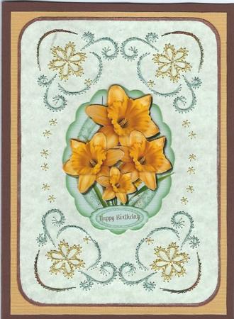 Beautiful Dafodills the Pride of Wales  by Irene Jardine