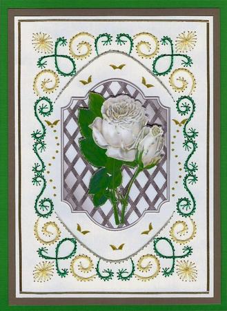 Pretty White Roses on Silver Lattice Frame with White Bow by Irene Jardine