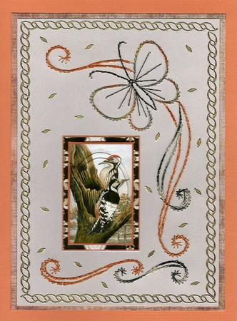 Woodpecker Step by Step by Irene Jardine