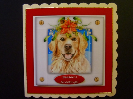 Christmas Puppy Dog (1) 6 x 6 Card Topper With Masses Of Greetings Tags by Jayne Jones